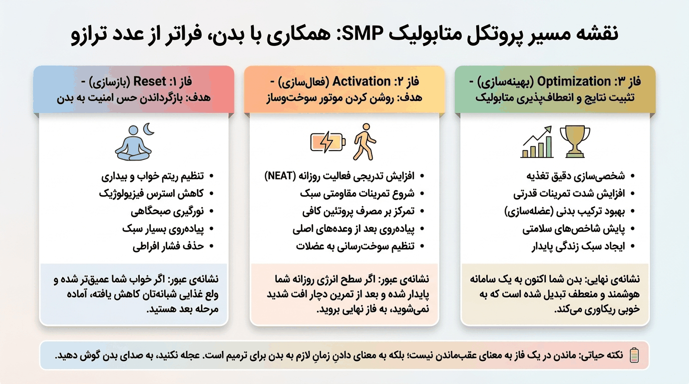 نقشه مسیر پروتکل متابولیک SMP در سه فاز بازیابی، فعال‌سازی و بهینه‌سازی